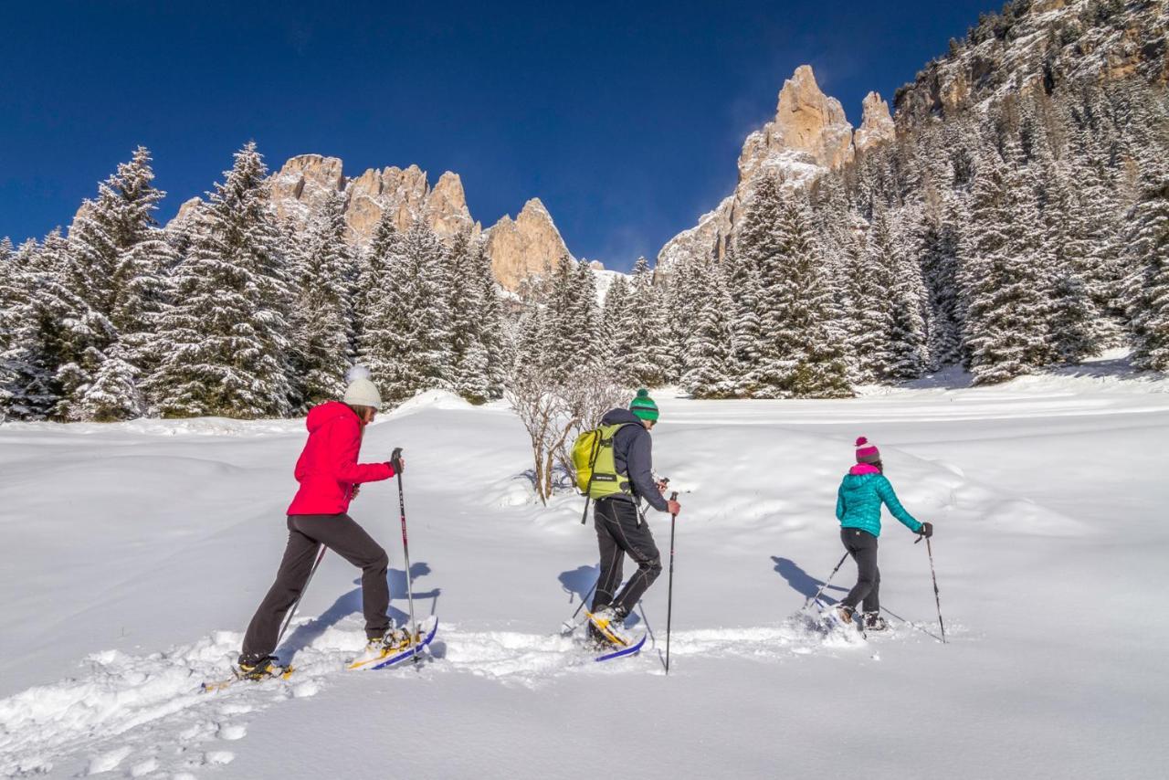 Hotel Ladinia Dolomites View Pozza di Fassa Buitenkant foto